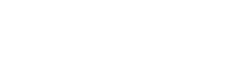 SM Travel